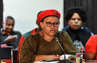 EFF wants Adam Catzavelos to spend 10 years in prison