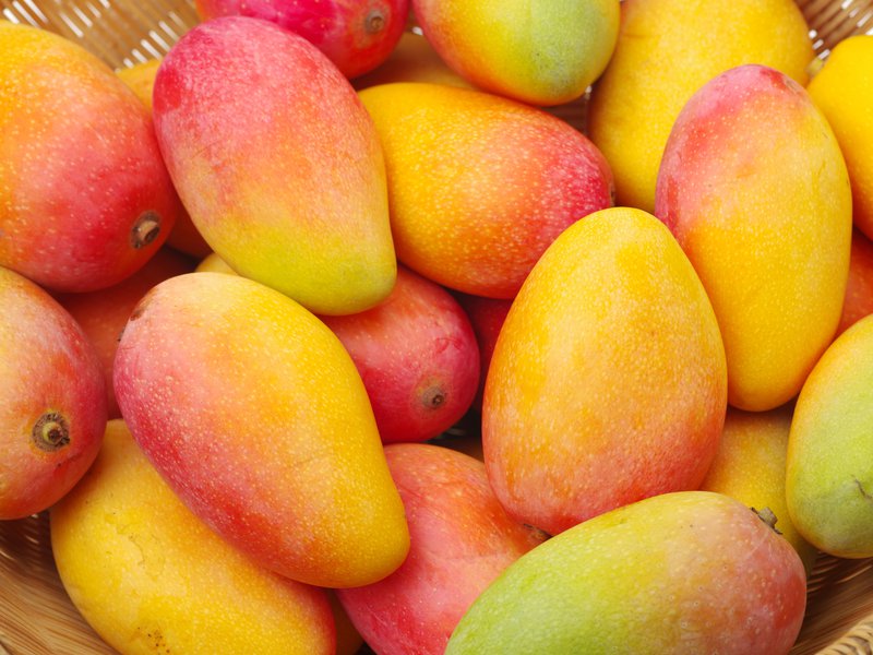 mango fruit