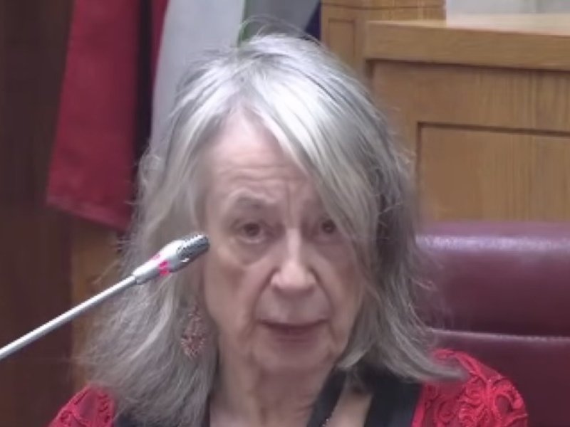University of KwaZulu-Natal academic and long-time policing monitor Professor Mary de Haas