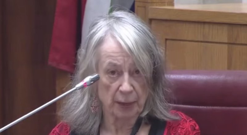 University of KwaZulu-Natal academic and long-time policing monitor Professor Mary de Haas