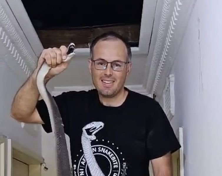 Massive Black Mamba captured in ceiling of Durban