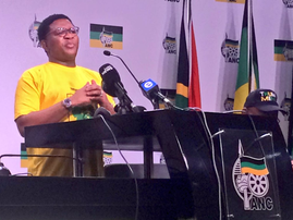 elections head Fikile Mbalula