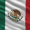 Mexico Flag