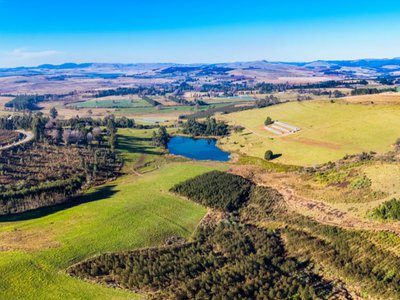 KZN Midlands: Wine and wildlife adventures await city escapees