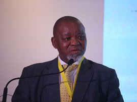 Minerals and Petroleum Minister Gwede Mantashe