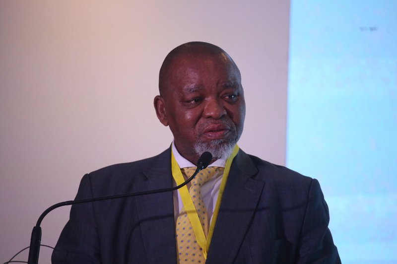 Minerals and Petroleum Minister Gwede Mantashe