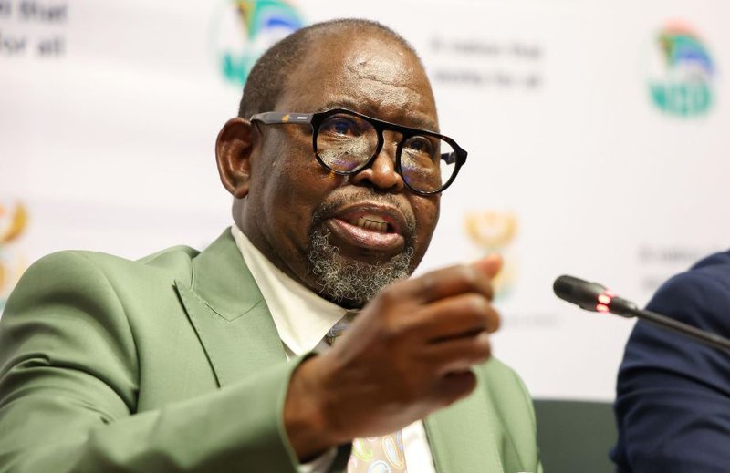 Finance Minister Enoch Godongwana