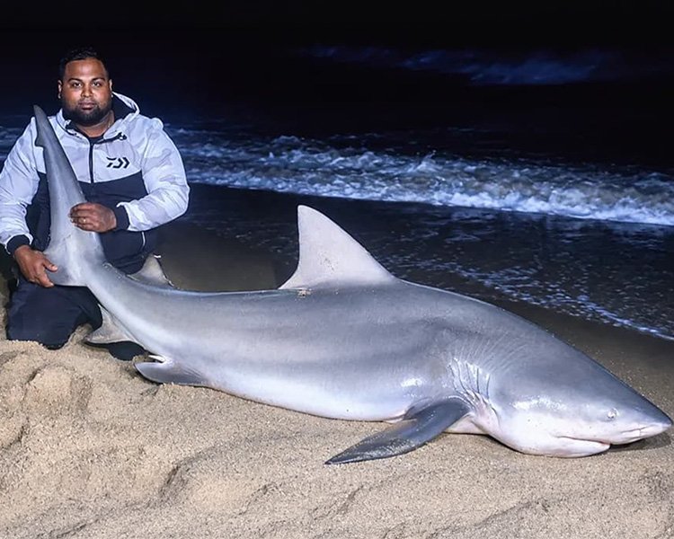 Mohammed Toufiq Allijan with a Zambezi Shark caught down the south coast