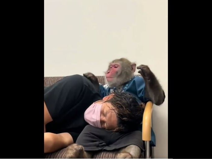 A video of a monkey giving emotional support to a man has gone viral on social media.