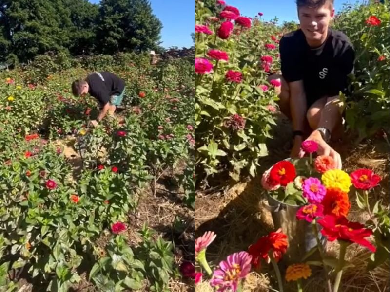 Monteseel Flower Farm