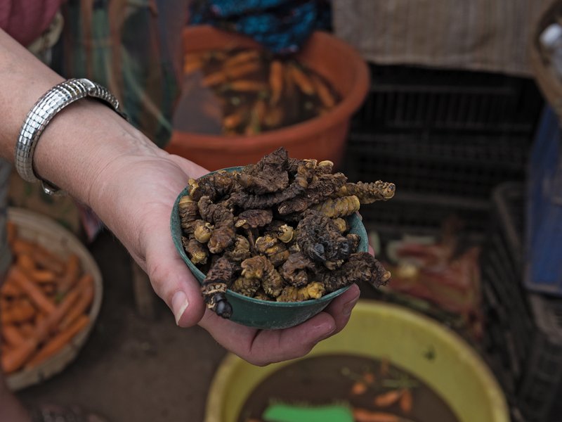 Mopane worms