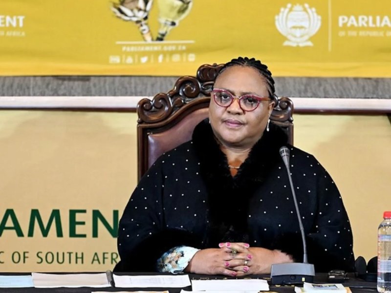 NA SPEAKER THOKO DIDIZA