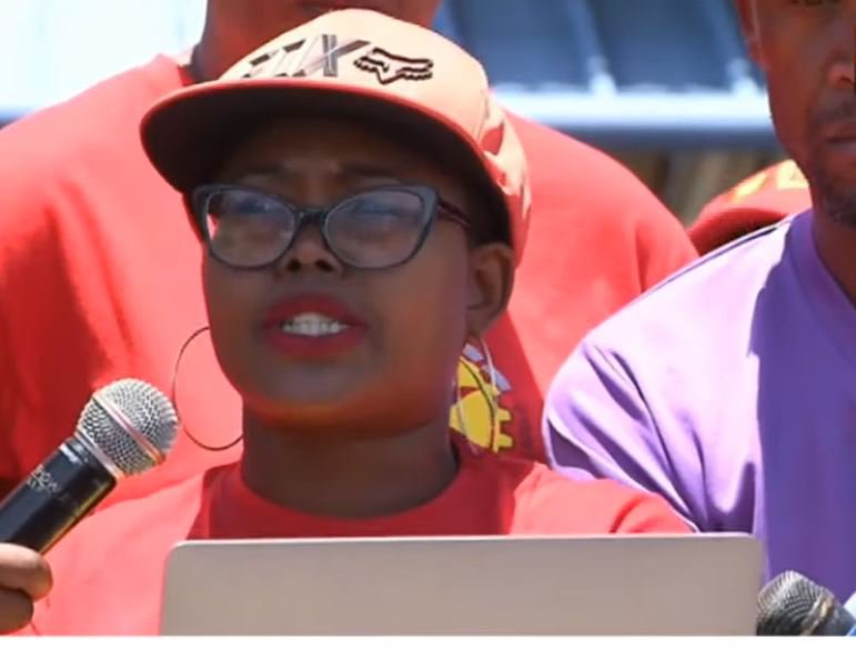 Phakamile Hlubi Majola Numsa strike