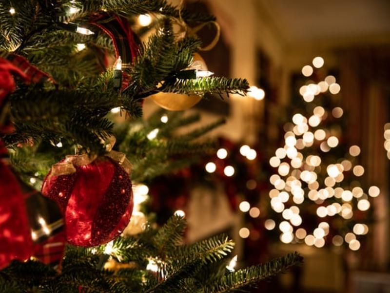 It's National take down the Christmas Tree day...