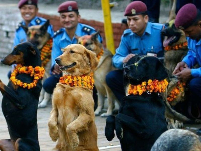 Nepal's day of the dog as part of Hindu celebrations