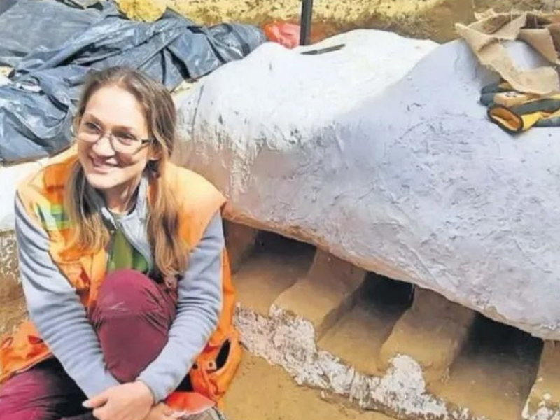 Newly discovered prehistoric shark named after beloved anime character