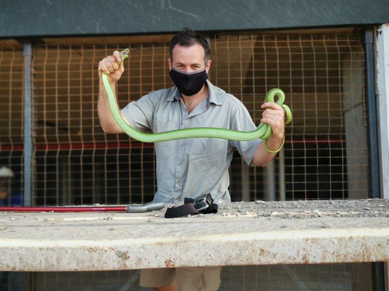 Nick Green Mamba