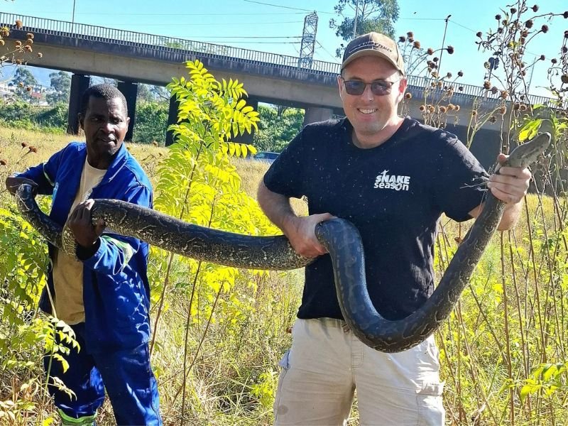 Nick Evans holding python