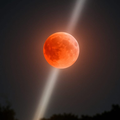Nikita Blood Moon