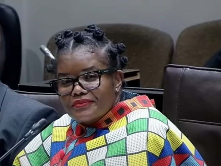 Nkabane parliament