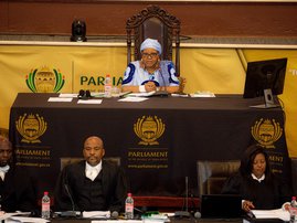 Nosiviwe Mapisa-Nqakula Phala Phala vote