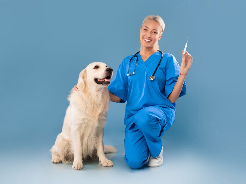 Nurse in scrubs uniform posing with dog holding syringe