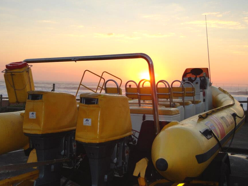 OCEAN SAFARI TOURS