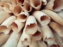 One-off-Ivory-Sale-to-China-2_2.jpg
