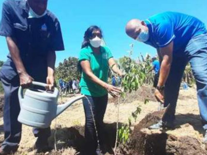 #AppreciationMonday: 100 trees planted in Newlands East in honour of World Food Day