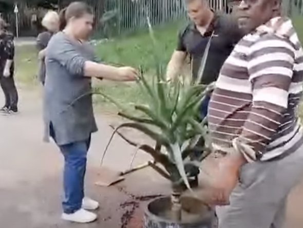 PEOPLE_PLANTING_IN_POTHOLES
