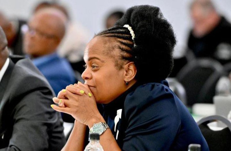 LIMPOPO PREMIER PHOPHI RAMATHUBA