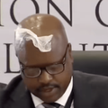 Paper Julius Mkhwanazi forehead