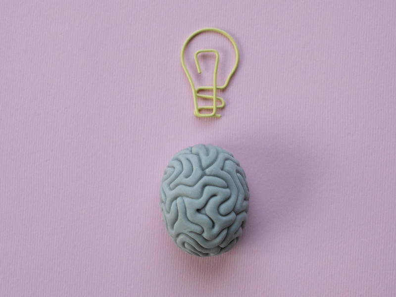 Paperclip in a shape of a lightbulb and a rubber eraser shaped like a brain