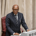 Trade, Industry and Competition Minister Parks Tau