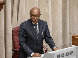 Trade, Industry and Competition Minister Parks Tau