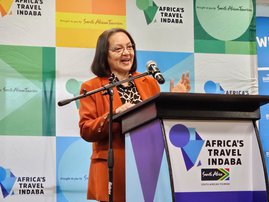 Tourism Minister Patricia de Lille