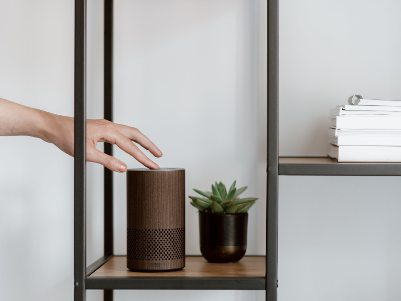 Person holding a brown speaker