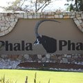 Phala Phala Farm