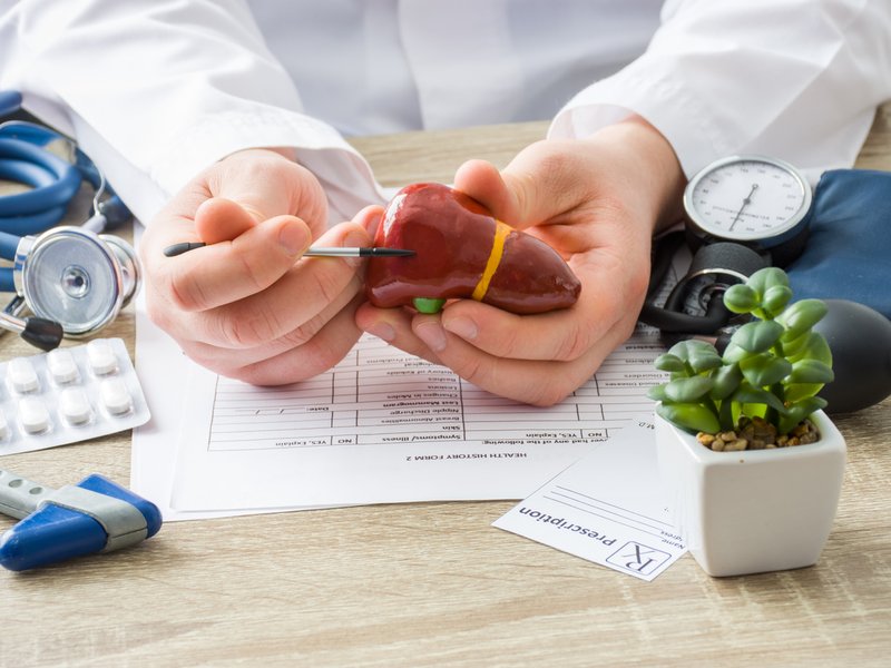 Physician shows to patient shape of liver