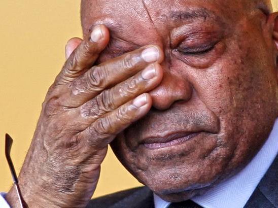 President Jacob Zuma