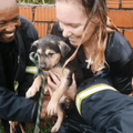 A man and woman holding a puppy
