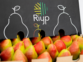 RIYP COVER PEARS