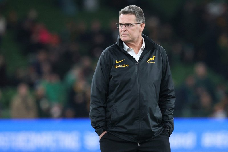 Springbok coach Rassie Erasmus ahead of Ireland Test November 2025