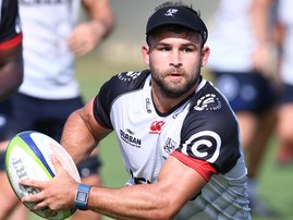 Cobus Reinach