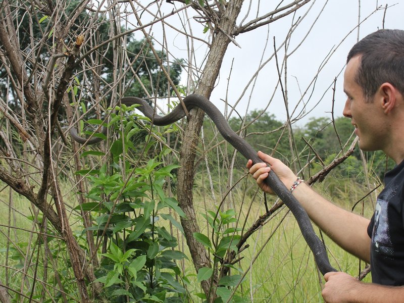 Nick Evans releases a Black Mamba