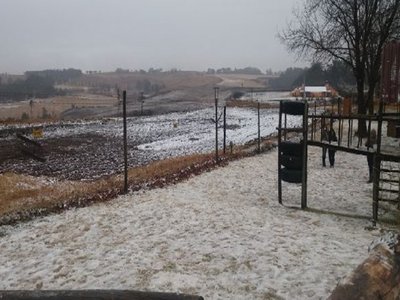 AFASA: KZN farmers prepared for snow, no major incidents yet