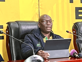 Limpopo ANC provincial secretary Reuben Madadzhe