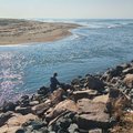 River mouth Blue Lagoon Water Pollution Sdcea Ethekwini Municipality