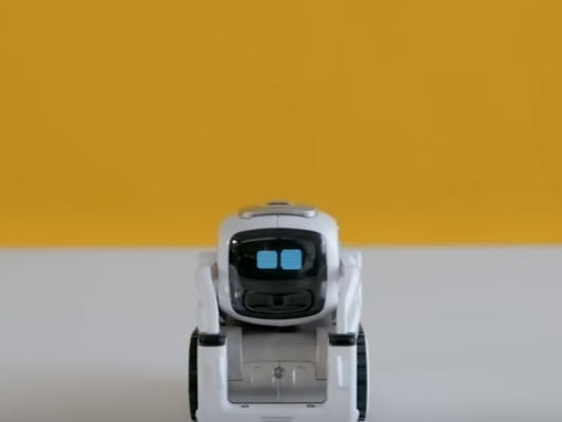Robot friend