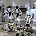 Robots protest against rampant AI in Poland